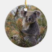 Grevillea Koala Bear, Keramik Ornament (Hinten)