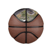 Grevillea Koala Bear, Mini Basketball (Rechts)