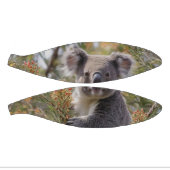 Grevillea Koala Bear, Mini Basketball (Panele)