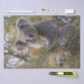 Grevillea Koala Bear, Seidenpapier (Handwerk)