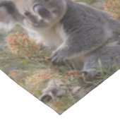 Grevillea Koala Bear, Tischdecke (Schrägansicht)
