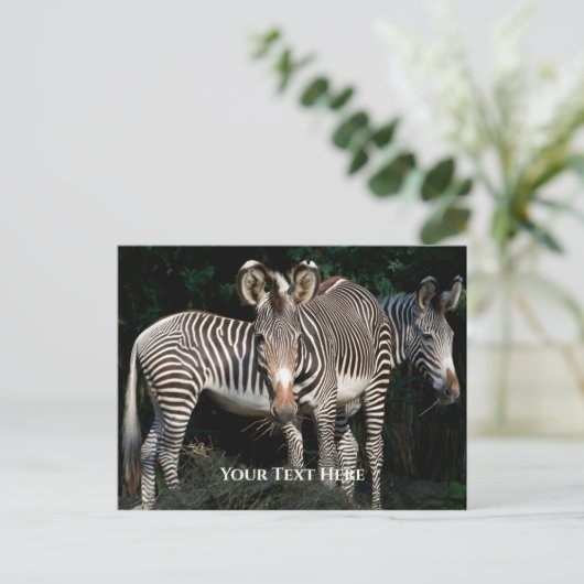 Grevy's Zebras Postkarte (Stehend Vorderseite)