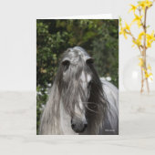 Grey Andalucian Stallion Headshot Long Mane Karte (Gelbe Blume)