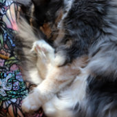 Grey Cat Collage Art Kitty Cats Collages Ornament Aus Metall