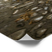 Grey Cobblestone street, France Poster (Ecke)