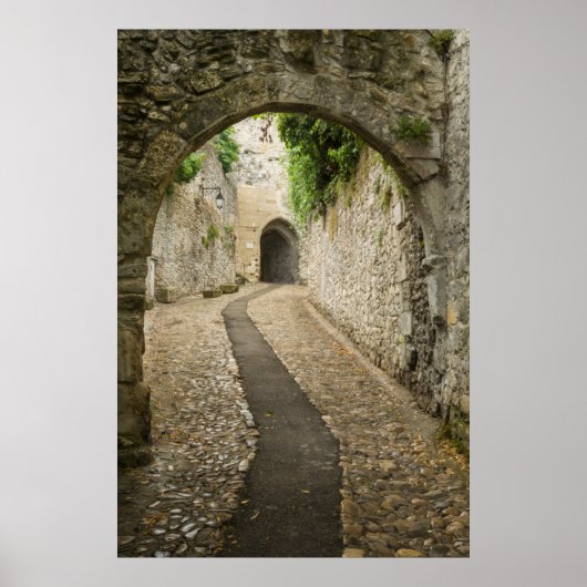 Grey Cobblestone street, France Poster (Vorne)
