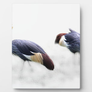 grey-crowned-crane fotoplatte