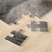 Grey Domestic Short hair Cat Puzzle (Seite)