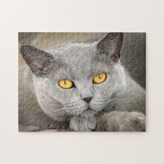 Grey Domestic Short hair Cat Puzzle (Horizontal)