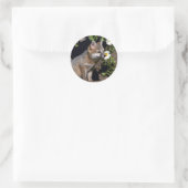 Grey Fox-Young-Kit Runder Aufkleber (Tasche)