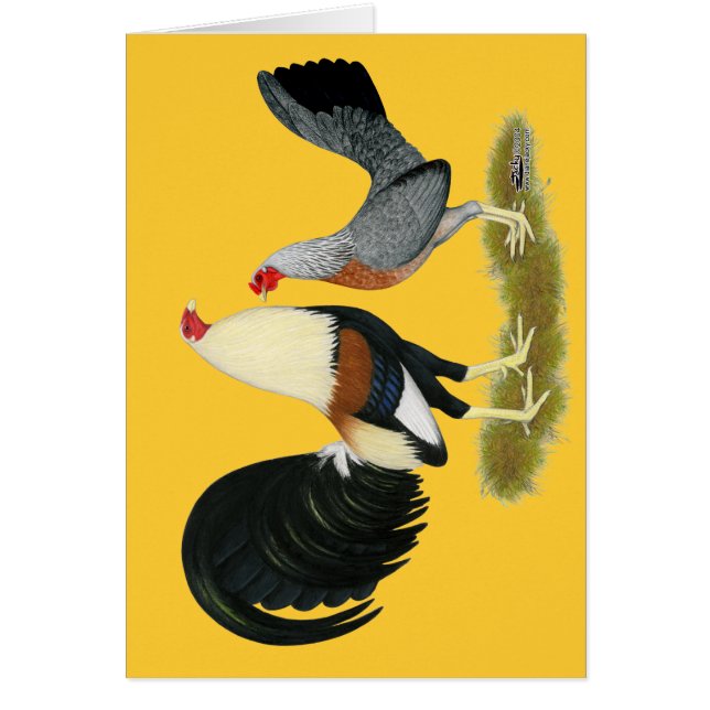 Grey Game Fowl Pair (Vorne)
