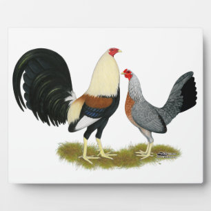 Grey Game Fowl Pair Fotoplatte