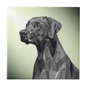 Grey Geometric Dog Green Fliese
