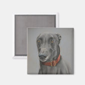Grey Greyhound Dog Art Magnet (Vorderseite/Rückseite)