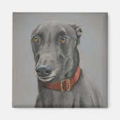 Grey Greyhound Dog Art Magnet (Vorne)