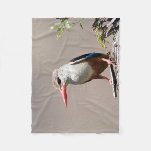 Grey-Headed Kingfisher Fleecedecke (Vorderseite)