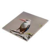 Grey-Headed Kingfisher Fliese (Seite)