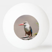 Grey-Headed Kingfisher Tischtennisball (Vorderseite)