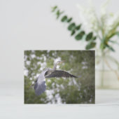 Grey Heron Nature Photo Postkarte (Stehend Vorderseite)