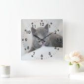 Grey Kitten Licking Snow Quadratische Wanduhr (Zuhause)