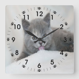 Grey Kitten Licking Snow Quadratische Wanduhr