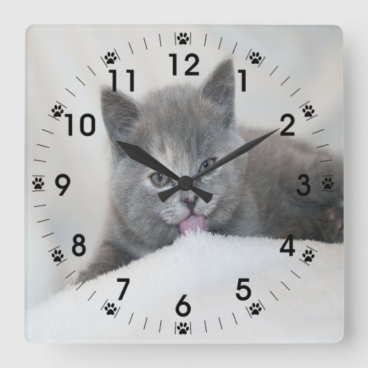 Grey Kitten Licking Snow Quadratische Wanduhr (Vorderseite)