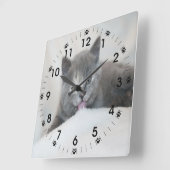 Grey Kitten Licking Snow Quadratische Wanduhr (Winkel)