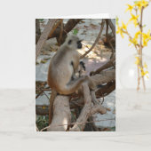 Grey Langur - Take a Rest Karte (Gelbe Blume)