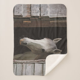 Grey Mare Horses Animals Sherpa Fleece Blanket Sherpadecke
