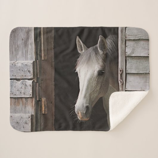 Grey Mare Horses Animals Sherpa Fleece Blanket Sherpadecke (Vorderseite (Horizontal))