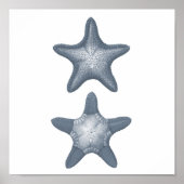 Grey Meereswelt Group12A print #10 Starfish Poster (Vorne)