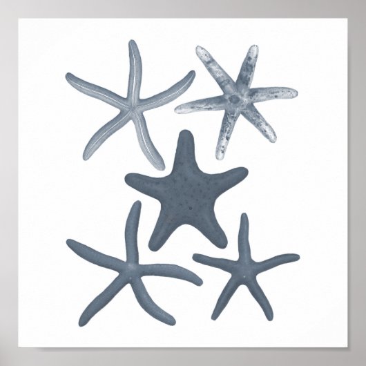 Grey Meereswelt Group12A Print #3 Starfish Poster (Vorne)