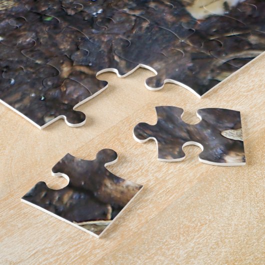 Grey Morel Mushroom Puzzle (Seite)