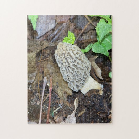 Grey Morel Mushroom Puzzle (Vertikal)