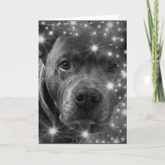 Grey Pitbull Terrier mit Glitzern Hund Lover Karte (Vorderseite)