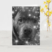 Grey Pitbull Terrier mit Glitzern Hund Lover Karte (Gelbe Blume)