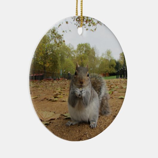 Grey Squirrel Hyde Park. Keramikornament (Rechts)