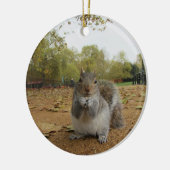Grey Squirrel Hyde Park. Keramikornament (Links)