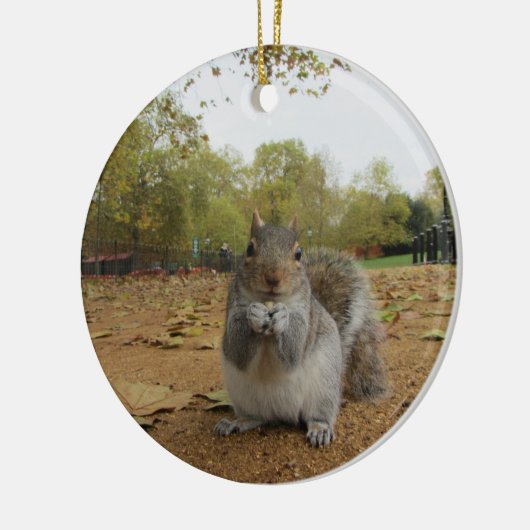 Grey Squirrel Hyde Park. Keramikornament (Links)