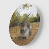 Grey Squirrel Hyde Park London. Große Wanduhr (Winkel)