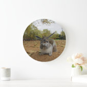 Grey Squirrel Hyde Park London. Große Wanduhr (Zuhause)