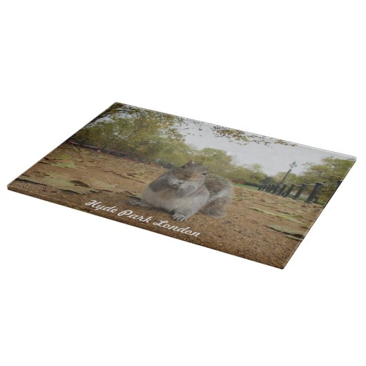 Grey Squirrel Hyde Park London. Schneidebrett (Ecke)