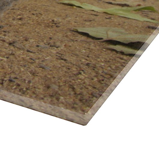 Grey Squirrel Hyde Park London. Schneidebrett (Ecke)