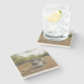 Grey Squirrel Hyde Park London. Steinuntersetzer (Seitenansicht)