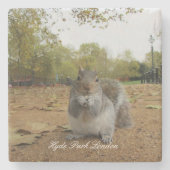 Grey Squirrel Hyde Park London. Steinuntersetzer (Vorderseite)