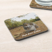 Grey Squirrel Hyde Park London. Untersetzer (Linke Seite)