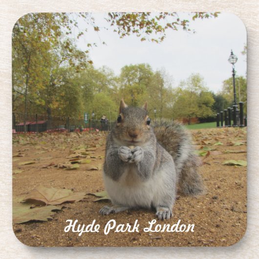 Grey Squirrel Hyde Park London. Untersetzer (Vorderseite)