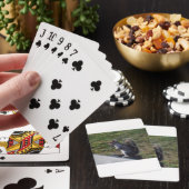 Grey Squirrel Spielkarten (In Situ)