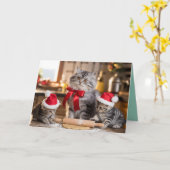 Grey Tabby Christmas Cookies Card Karte (Gelbe Blume)