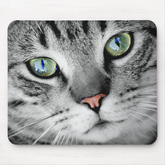 Grey Tabby Green Mit Augen Nah Up Mousepad (Vorne)